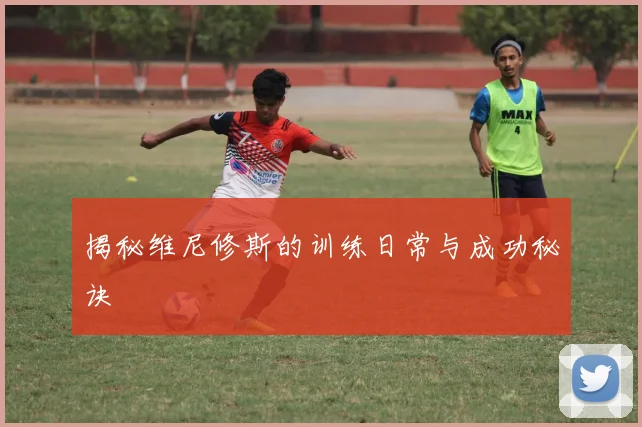 揭秘维尼修斯的训练日常与成功秘诀